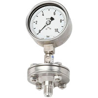 WIKA Pressure Gauge with Bolted and Threaded Diaphragm Seal - Model DSS10M